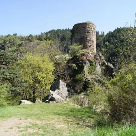 Apartment Bordl'o Aurec-Sur-Loire