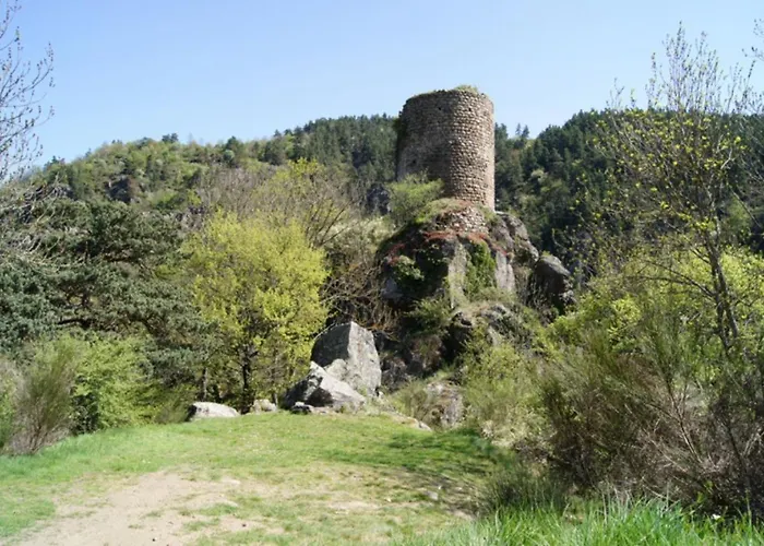 Апартаменты Bordl'o Aurec-Sur-Loire